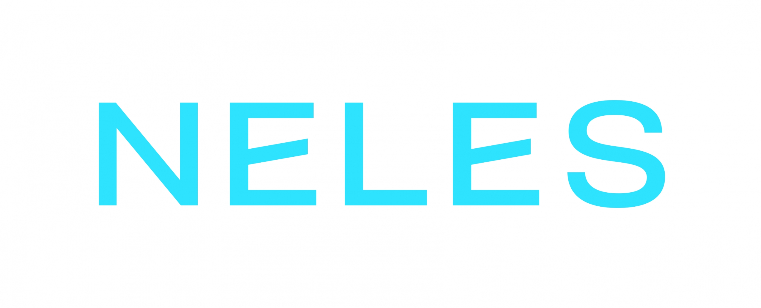 NELES_Logo_blue_CMYK